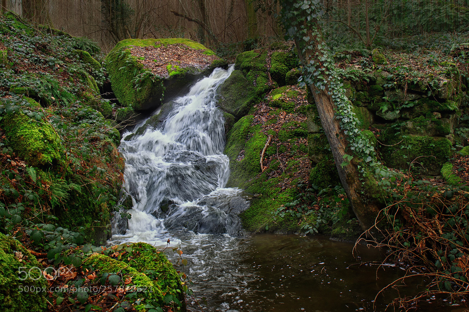 Canon EOS 7D Mark II sample photo. Jpgw photography