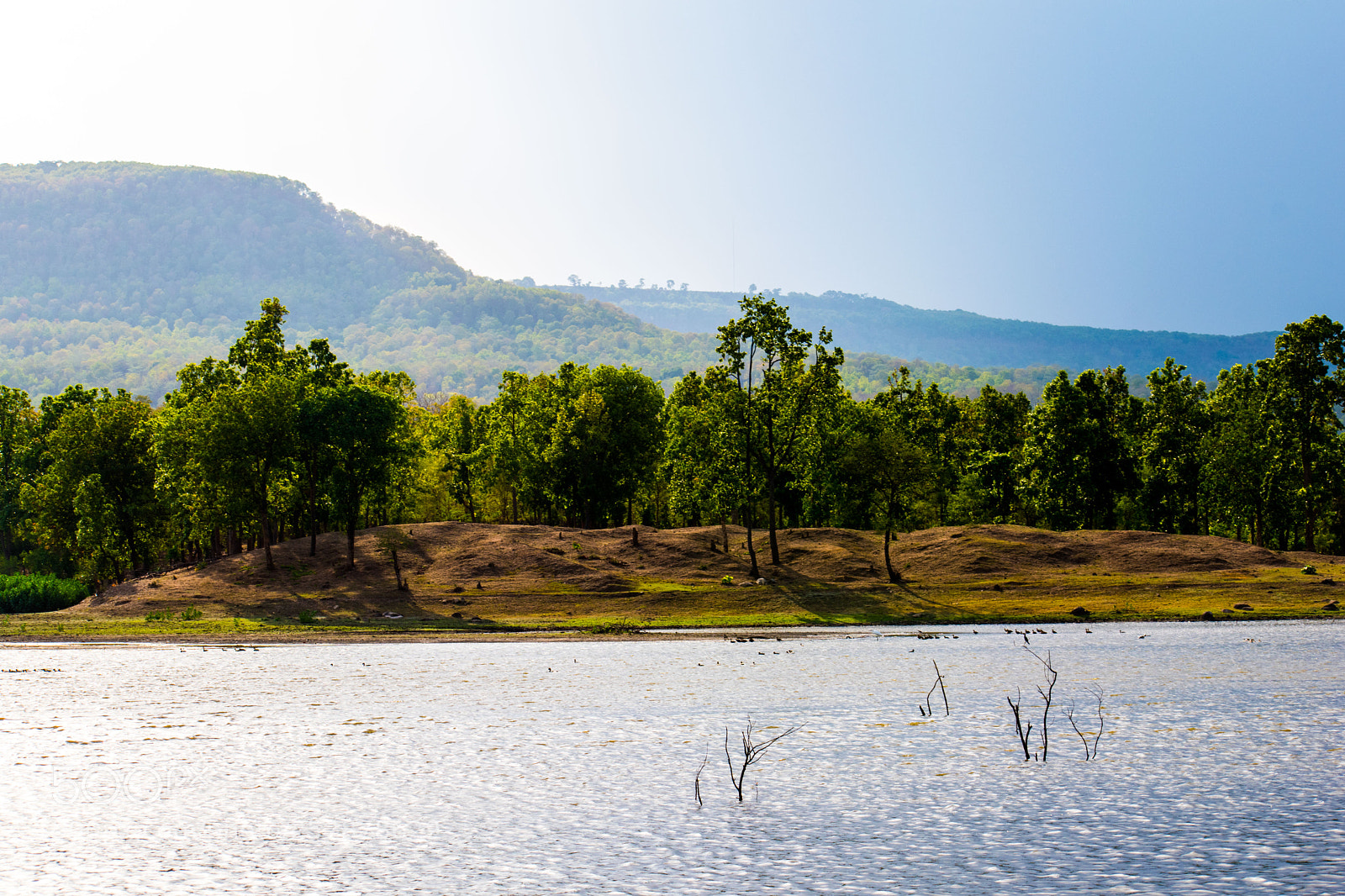 Nikon D5500 sample photo. Dsc photography