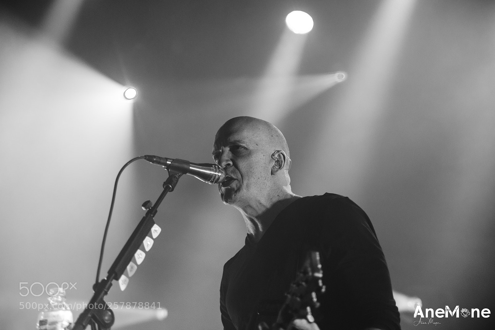 Canon EOS-1D X sample photo. Devin townsend photography