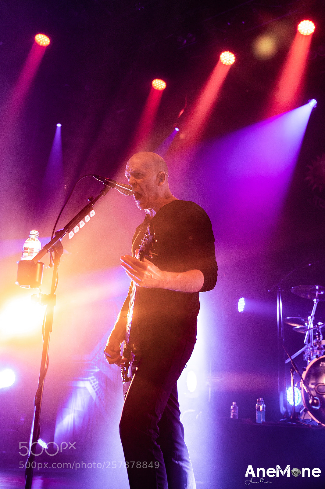 Canon EOS-1D X sample photo. Devin townsend photography