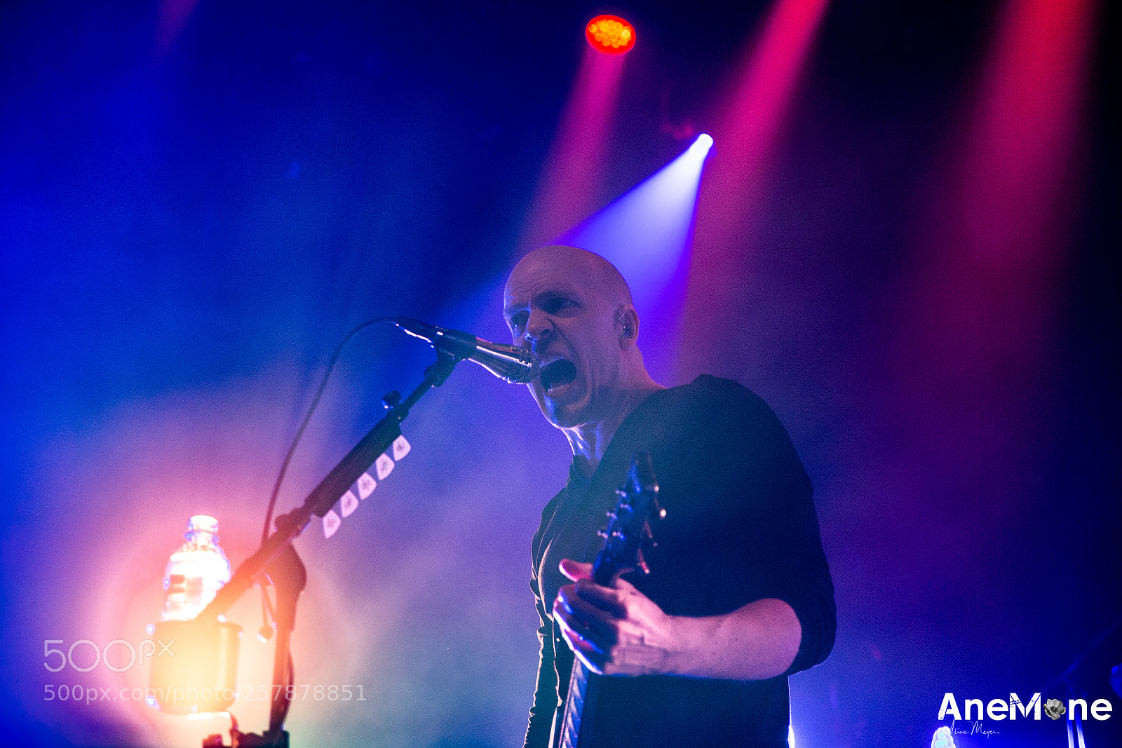 Canon EOS-1D X sample photo. Devin townsend photography