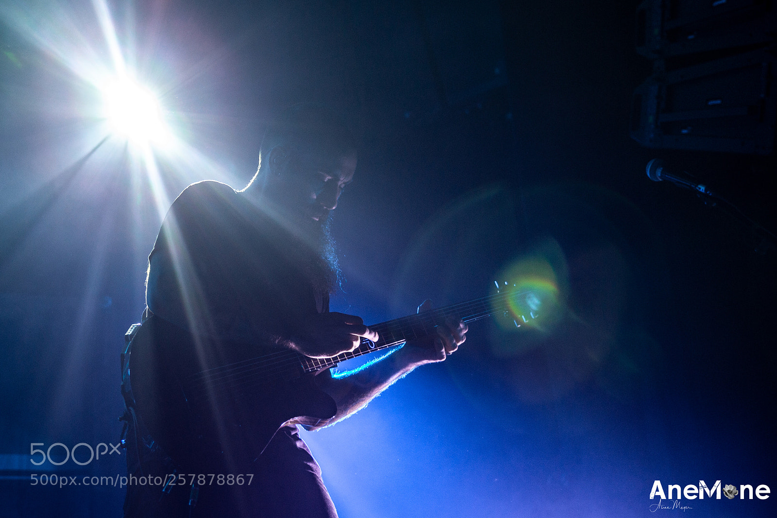 Canon EOS-1D X sample photo. Devin townsend photography