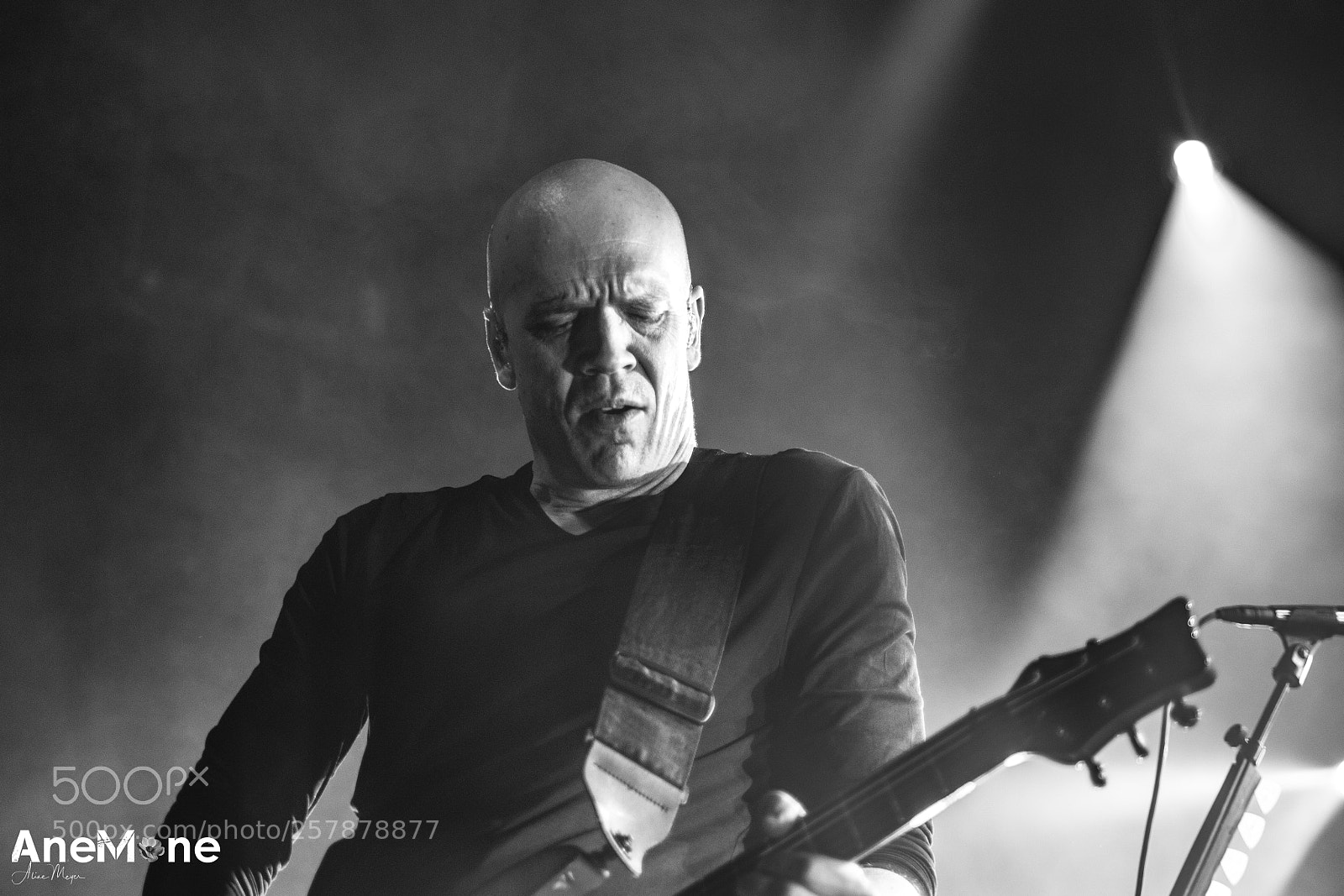 Canon EOS-1D X sample photo. Devin townsend photography