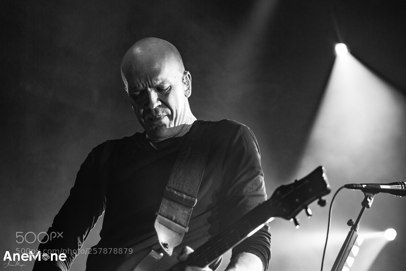 Canon EOS-1D X sample photo. Devin townsend photography
