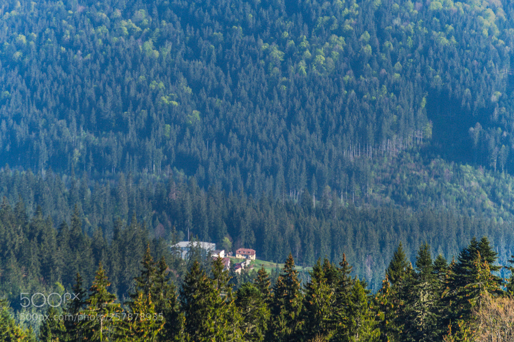 Nikon D3200 sample photo. Nature and adventure  2018 photography