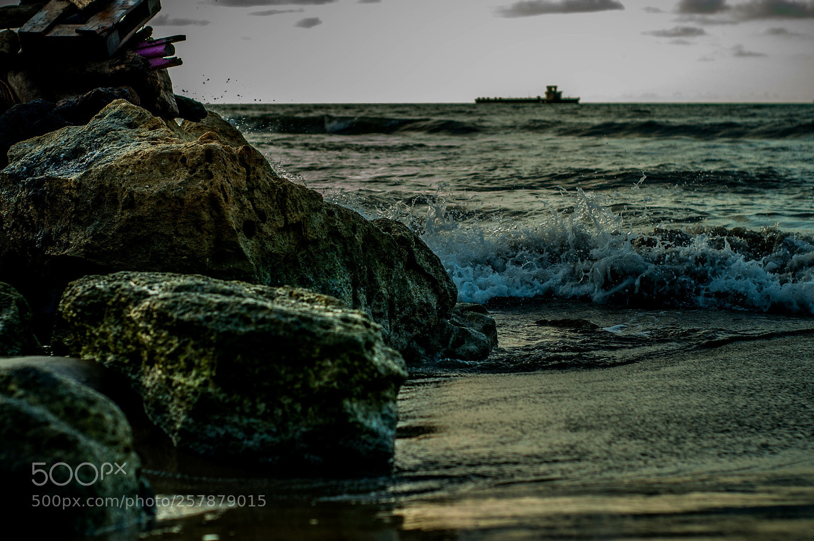 Nikon D5000 sample photo. Untitled photography