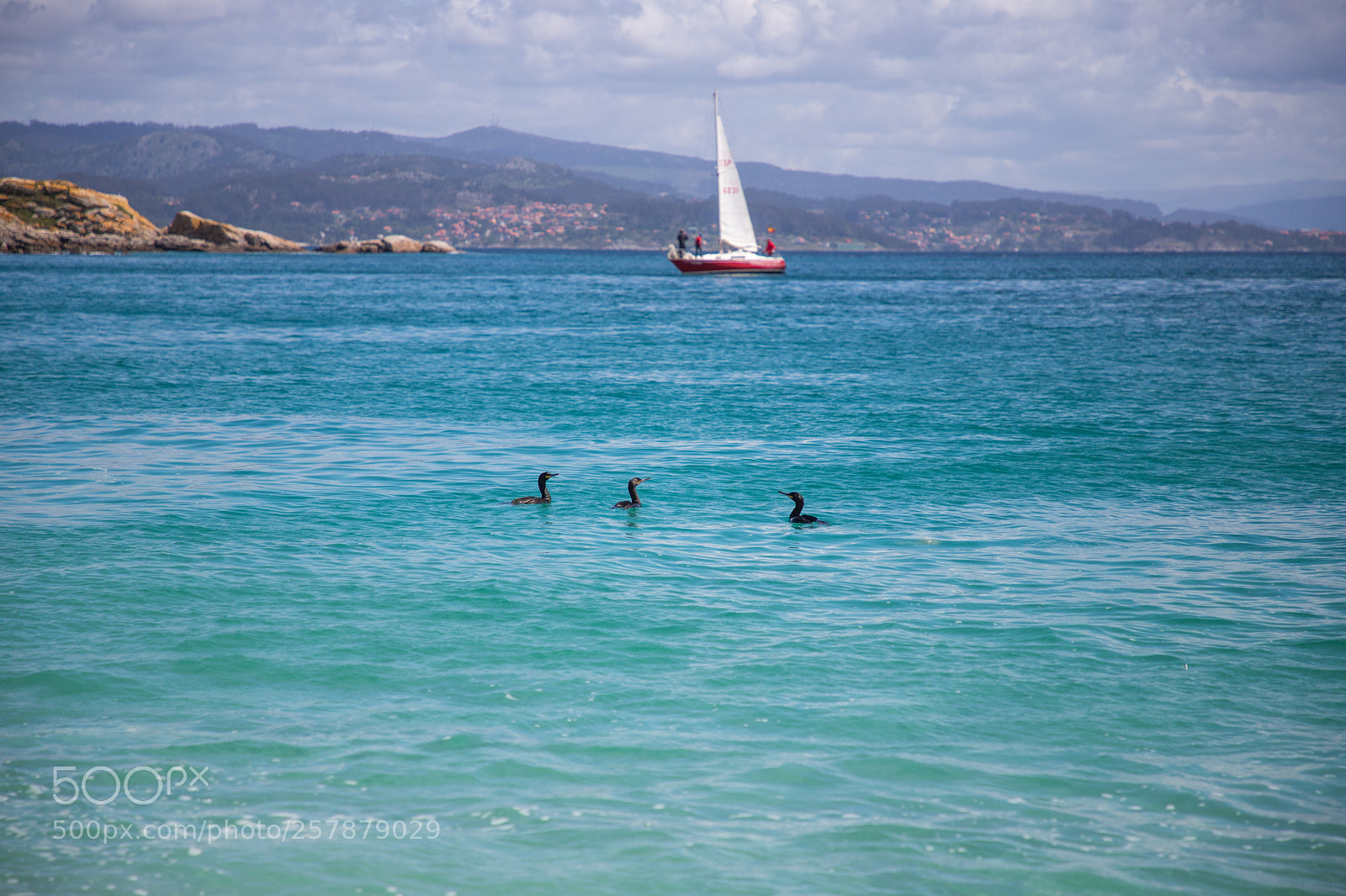 Canon EOS 6D Mark II sample photo. Cíes islands photography