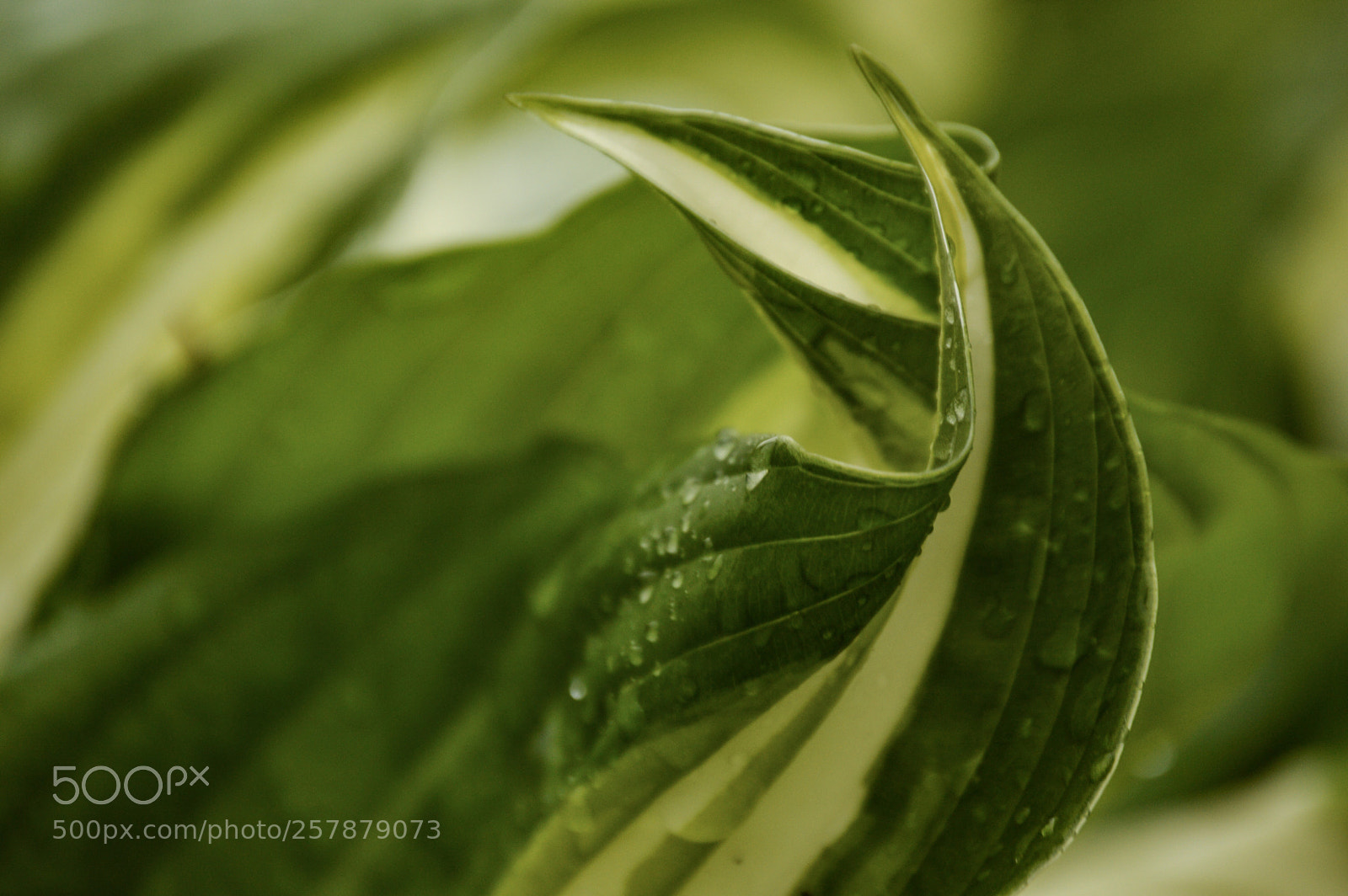 Nikon D3200 sample photo. Waves  photography
