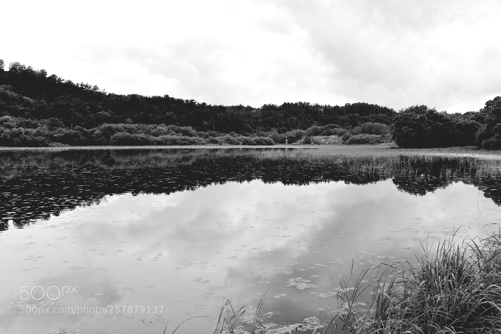 Nikon D750 sample photo. * oneday,  somewhere photography