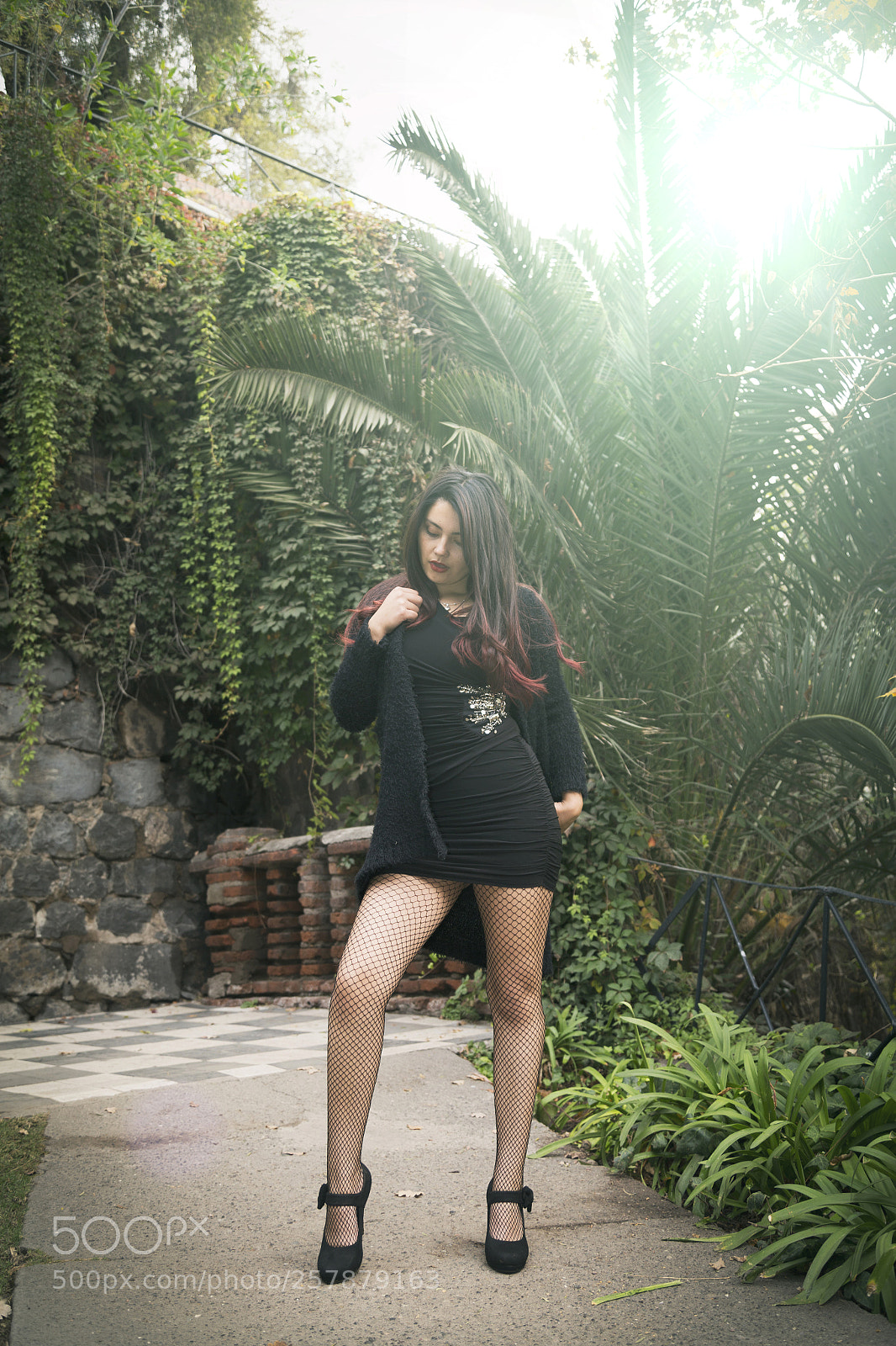 Canon EOS 6D sample photo. Untitled photography