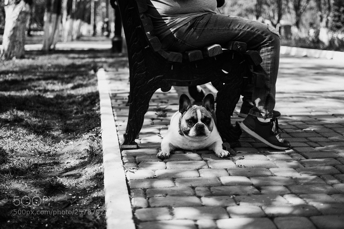 Nikon D7100 sample photo. Untitled photography