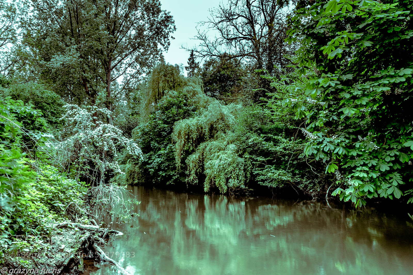 Nikon D3300 sample photo. Walk down to the photography
