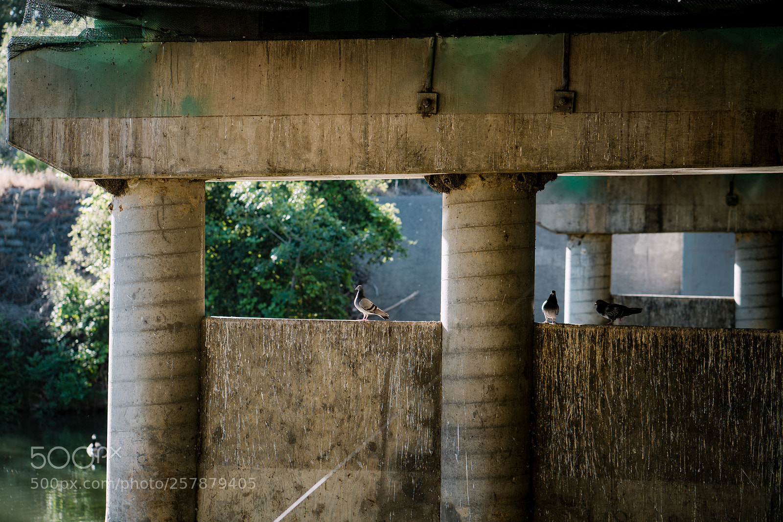 Sony a7R III sample photo. Underpass photography