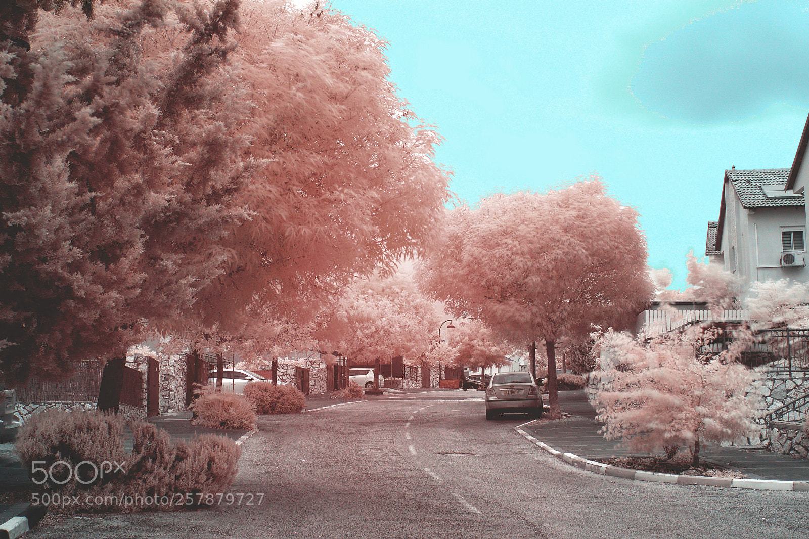Nikon D3300 sample photo. Ir street photography