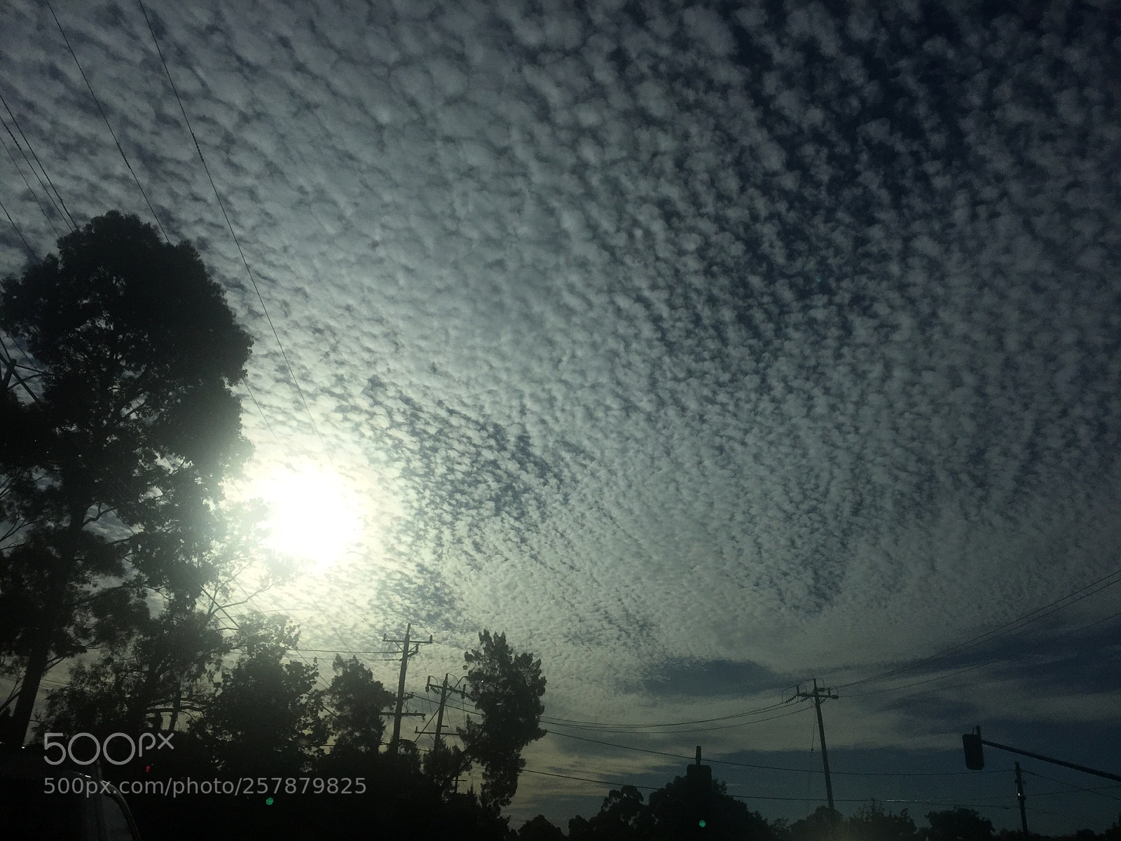 Apple iPhone 6 Plus sample photo. Cloud candy 1 photography