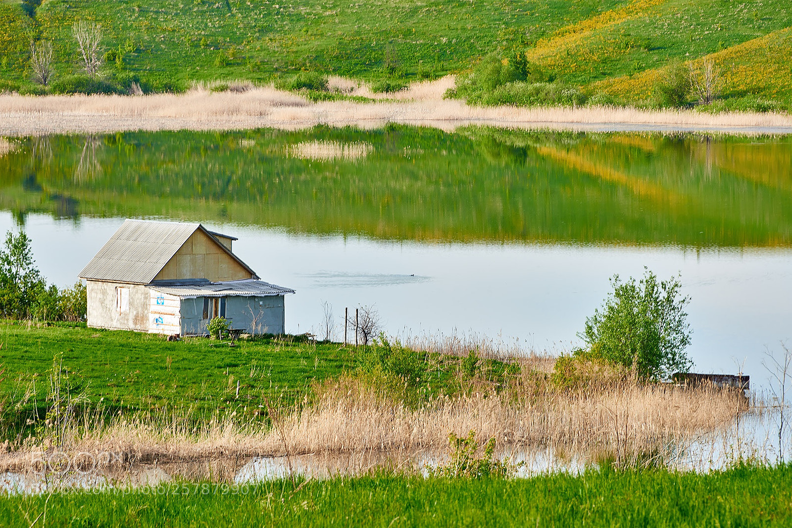 Nikon D800 sample photo. Untitled photography