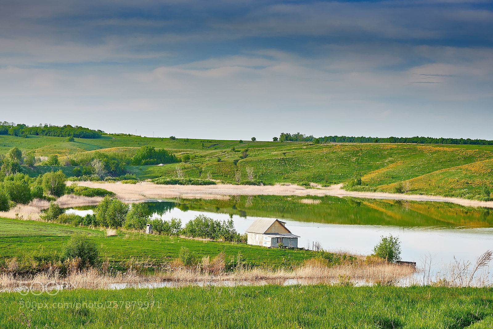 Nikon D800 sample photo. Untitled photography