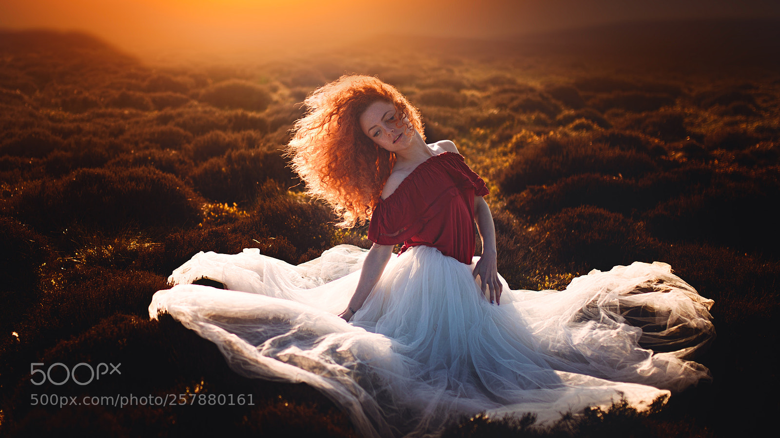 Nikon D610 sample photo. The dreaming sunset photography