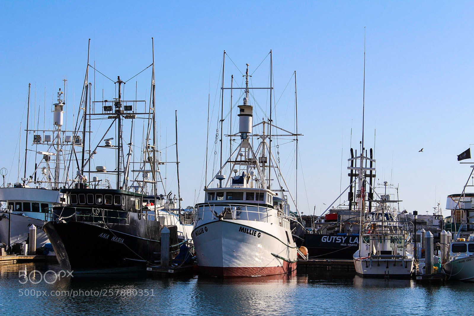 Canon EOS 700D (EOS Rebel T5i / EOS Kiss X7i) sample photo. Life on the sea photography