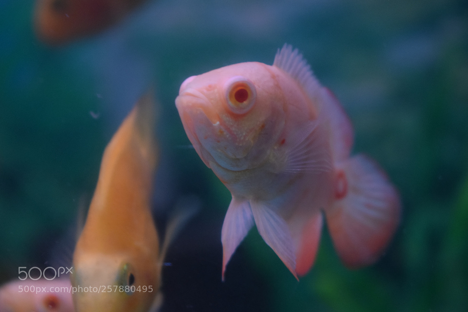 Nikon D3300 sample photo. 3 photography