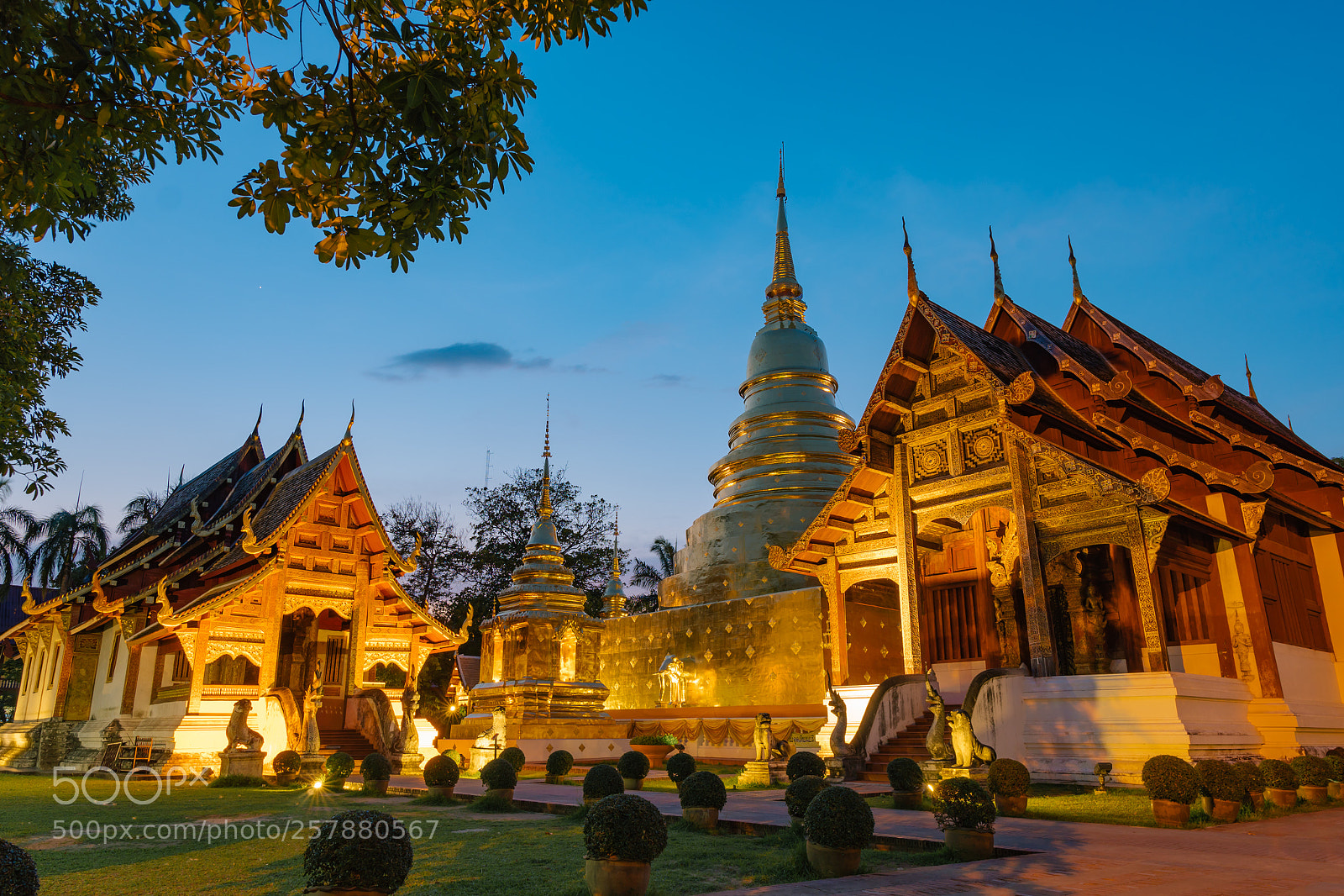 Sony a6500 sample photo. Wat phra singh, chiang photography