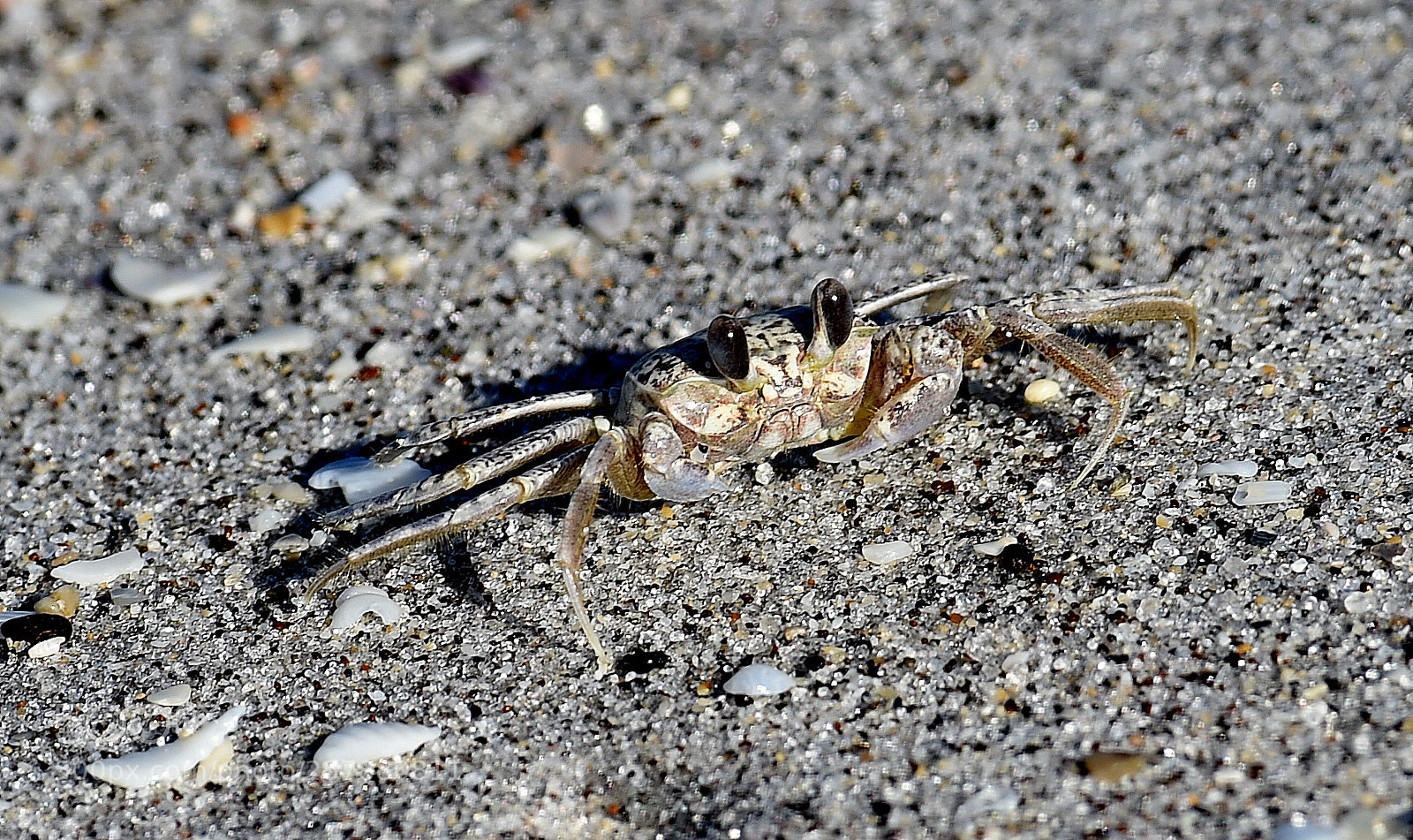 Nikon D4S sample photo. You have too look photography