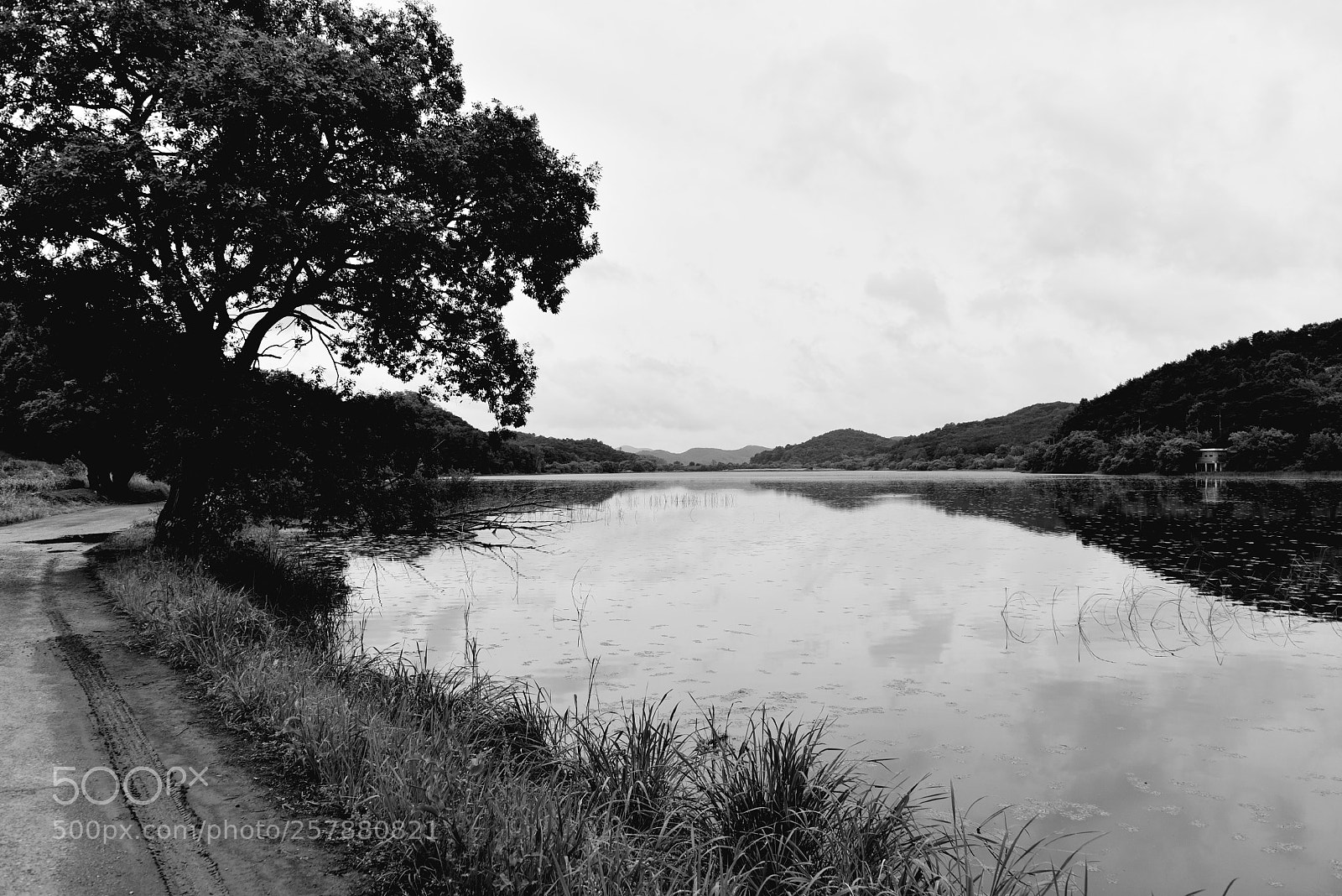Nikon D750 sample photo. * the road photography