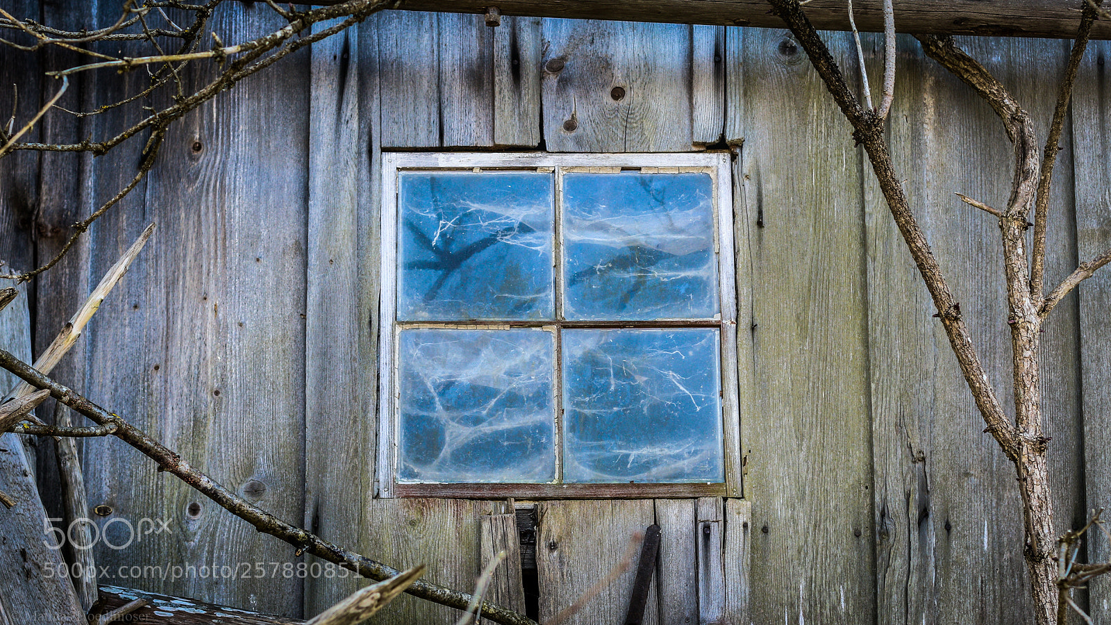 Canon EOS 70D sample photo. Dirty window photography