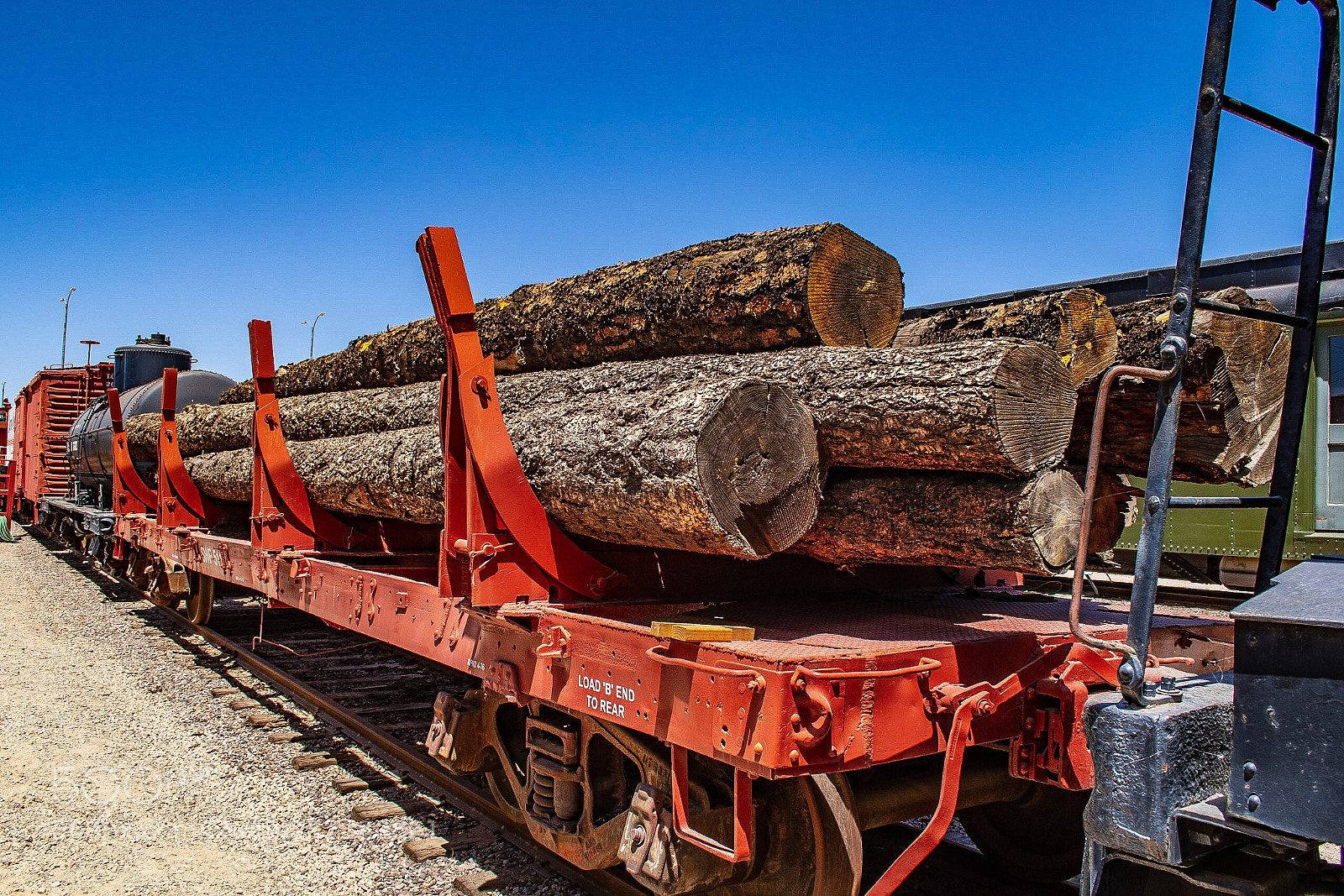 Nikon D7500 sample photo. Logging photography
