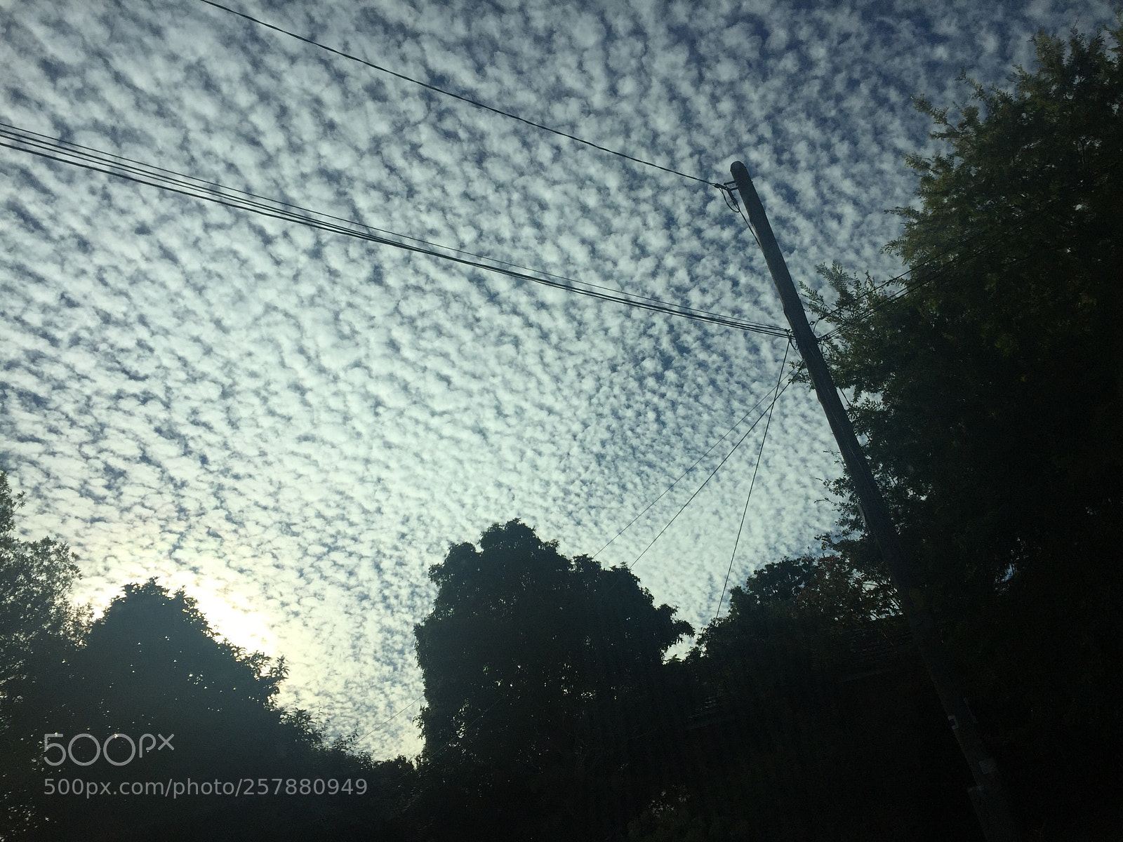 Apple iPhone 6 Plus sample photo. Cloud candy 2 photography