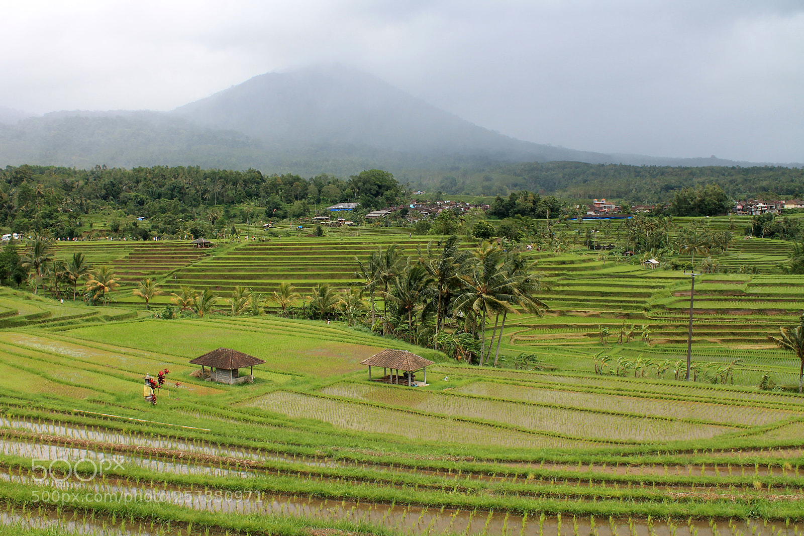 Canon EOS 1100D (EOS Rebel T3 / EOS Kiss X50) sample photo. Jatiluwih rice terraces photography
