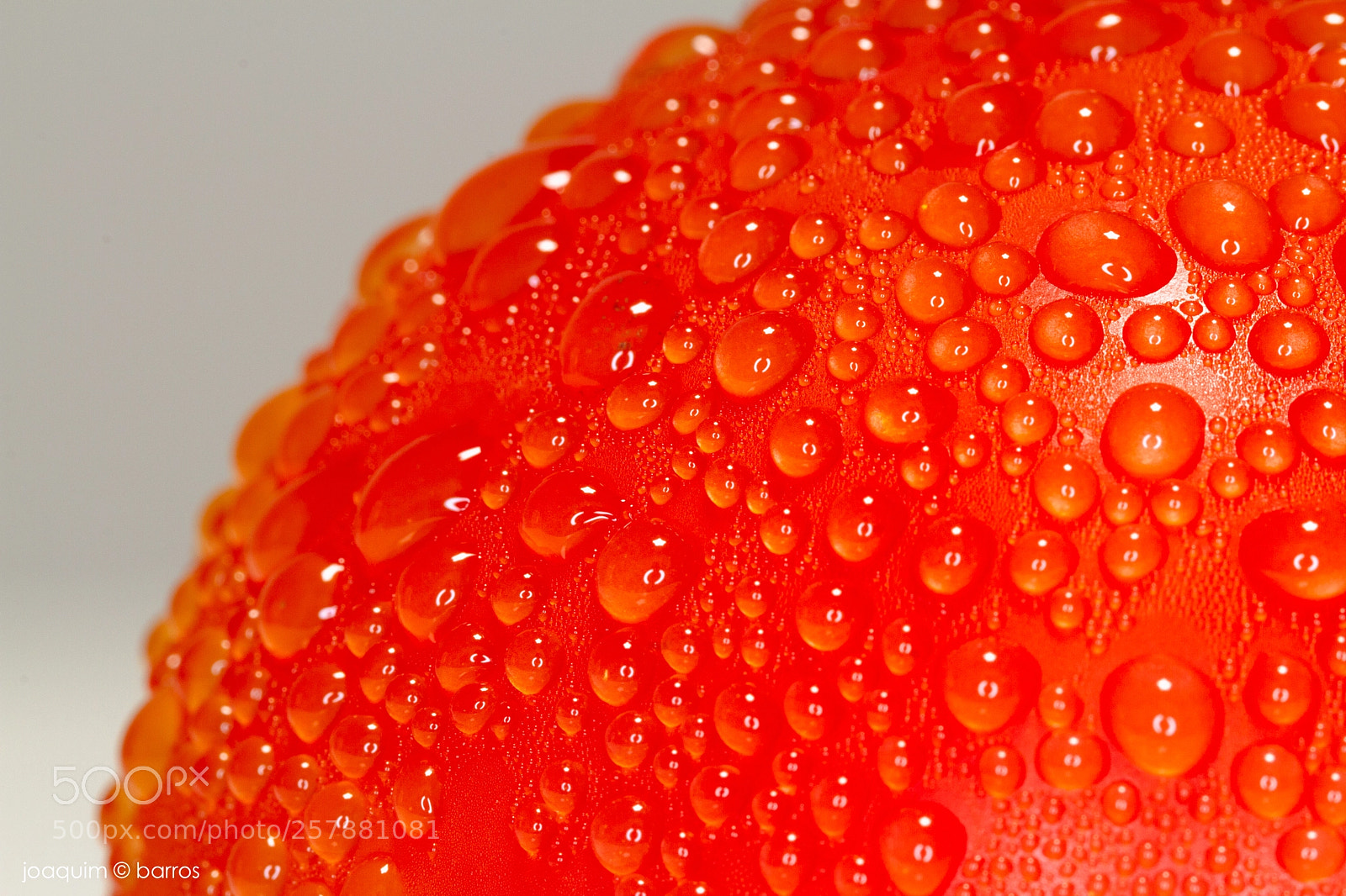 Canon EOS 7D sample photo. Tomato photography