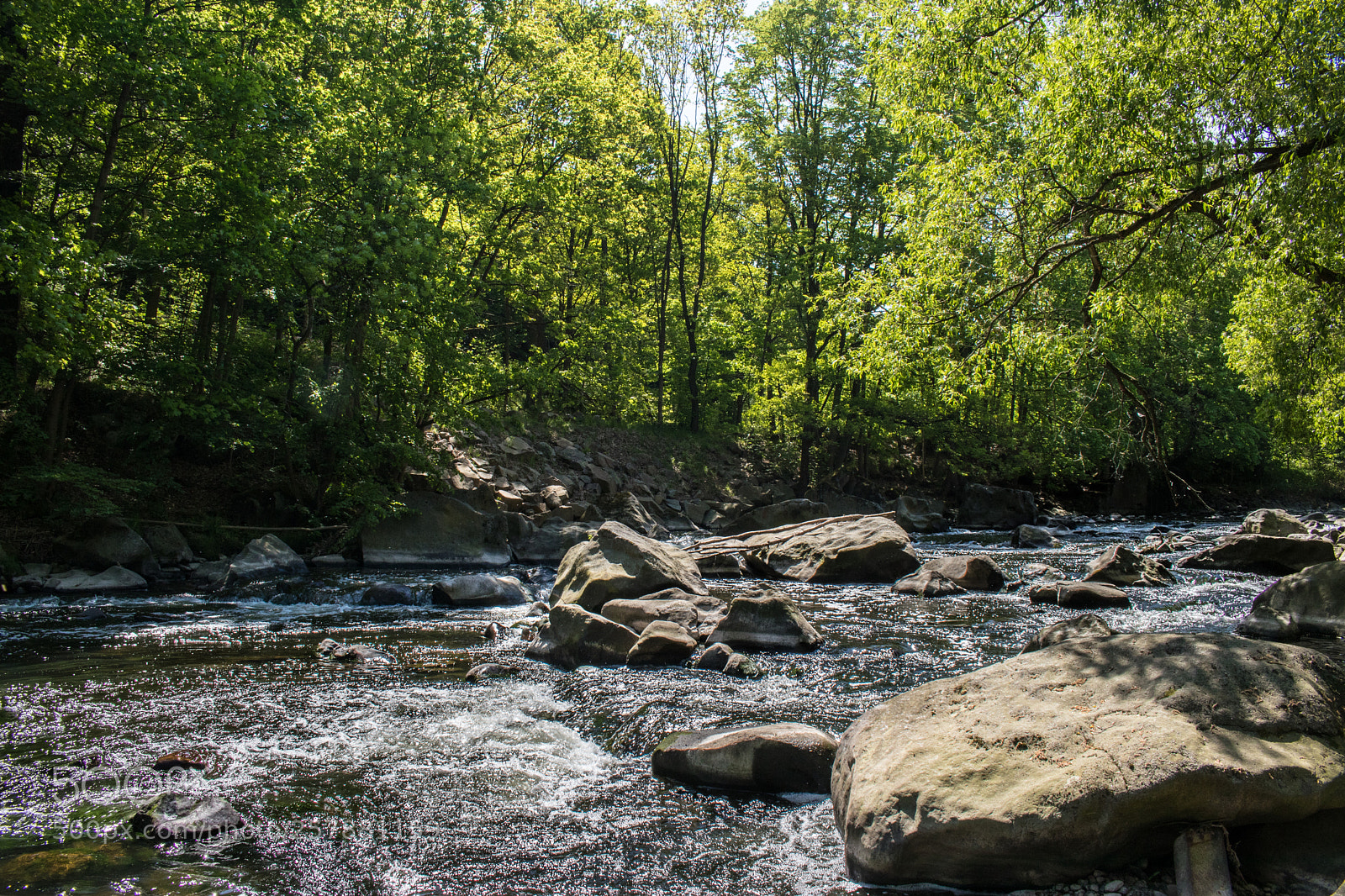 Canon EOS 80D sample photo. Wild river photography