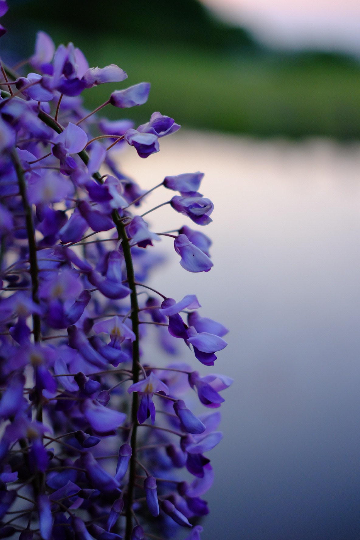 Fujifilm X-A1 sample photo