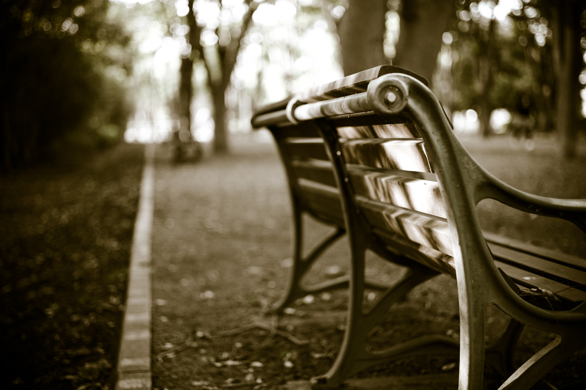 Leica M9 sample photo. Bench photography