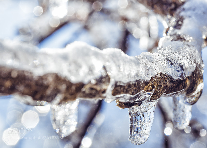 Olympus OM-D E-M5 II sample photo. Crystal ice photography