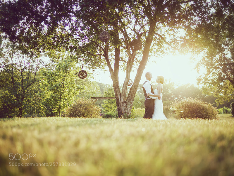 Olympus OM-D E-M5 II sample photo. Sunset wedding photography