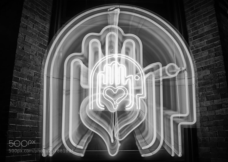 Olympus OM-D E-M5 II sample photo. Savannah hand photography