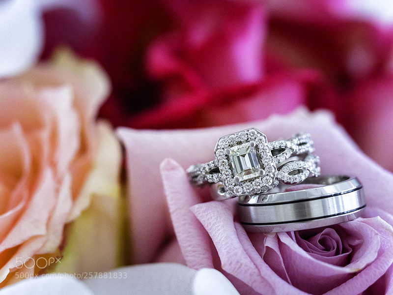 Olympus OM-D E-M5 II sample photo. Macro rings photography