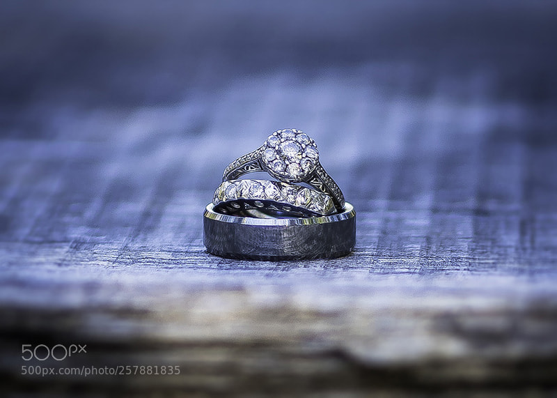 Olympus OM-D E-M5 II sample photo. Macro rings photography