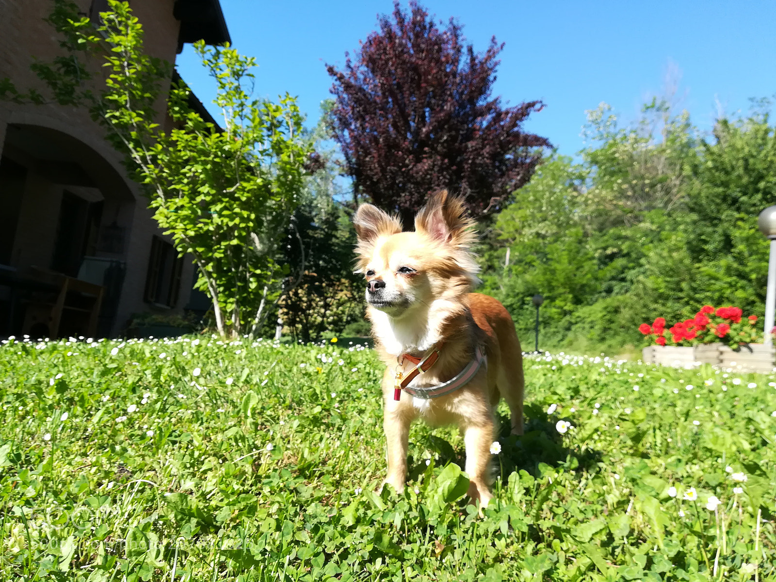 HUAWEI PRA-LX1 sample photo. Untitled photography