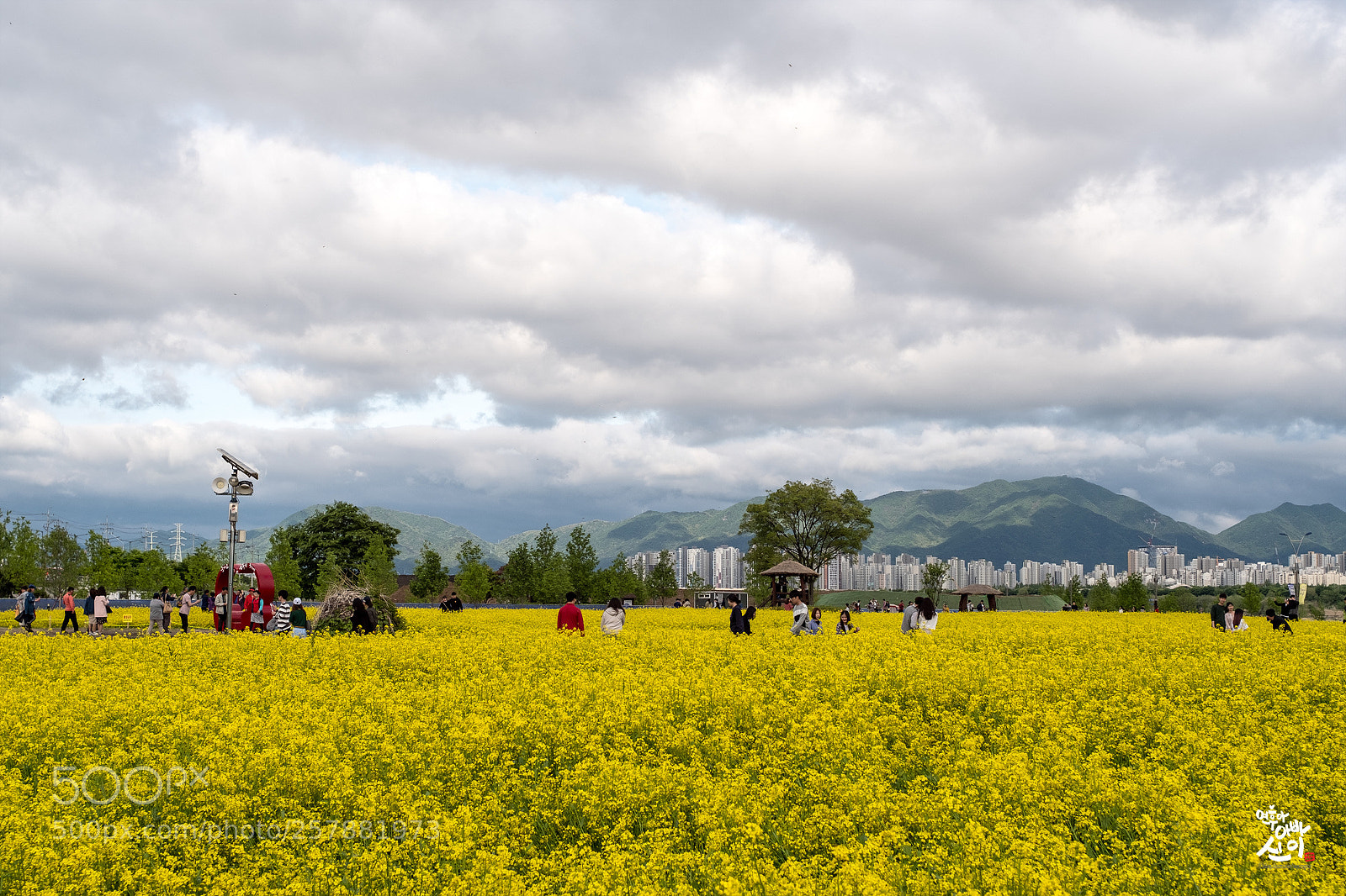 Fujifilm X-T2 sample photo. People in rapeseed field photography