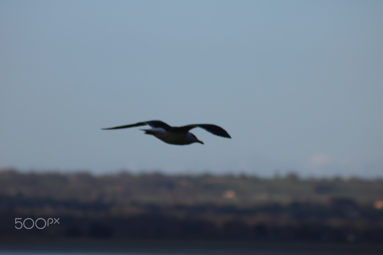 Canon EF 75-300mm f/4-5.6 USM sample photo. Img photography