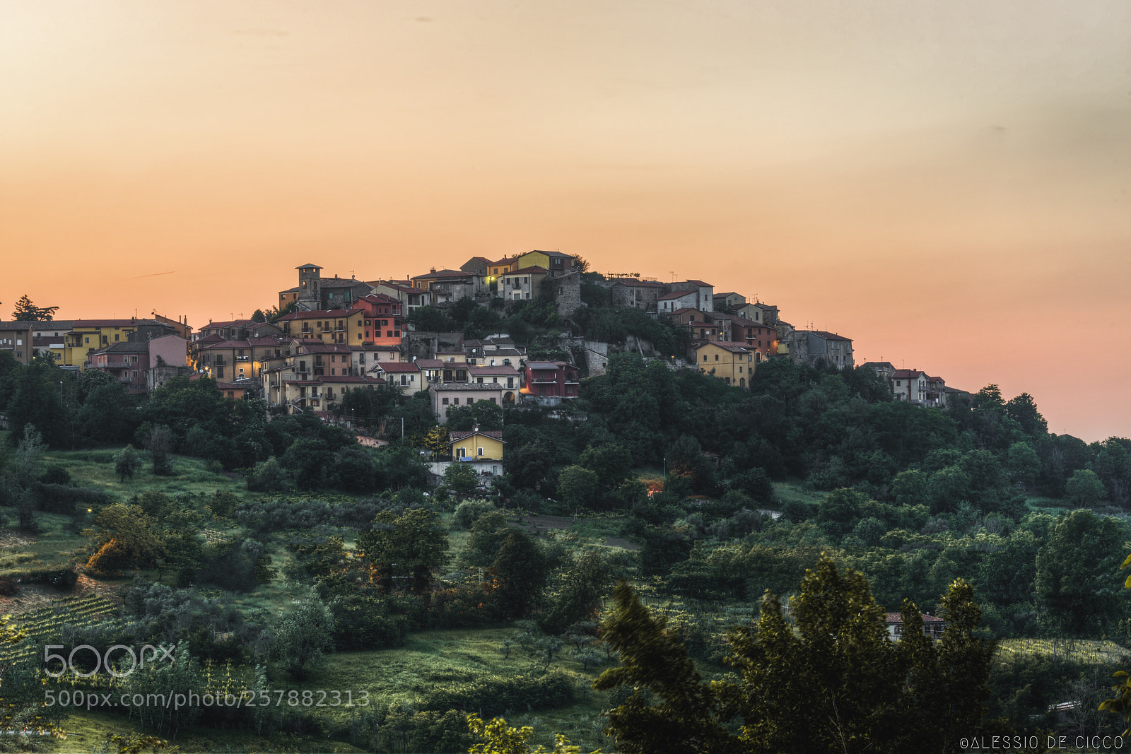 Nikon D800 sample photo. Candida - borghi d photography