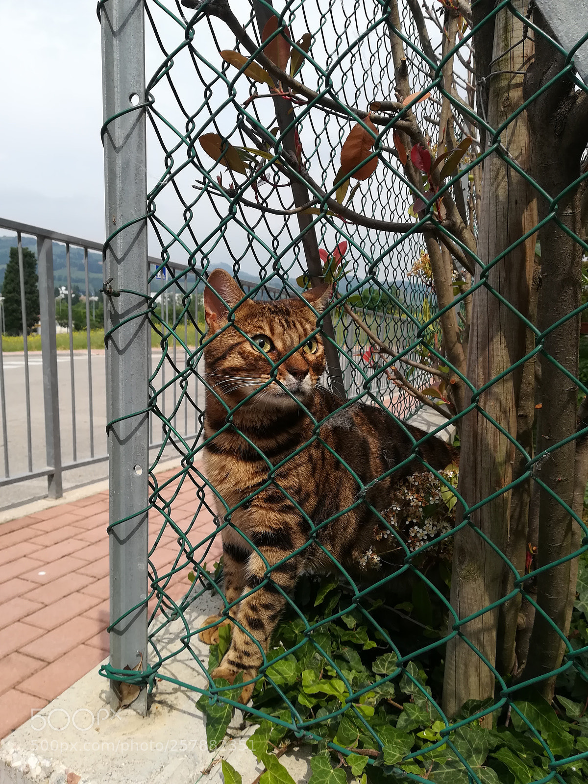 HUAWEI PRA-LX1 sample photo. Untitled photography