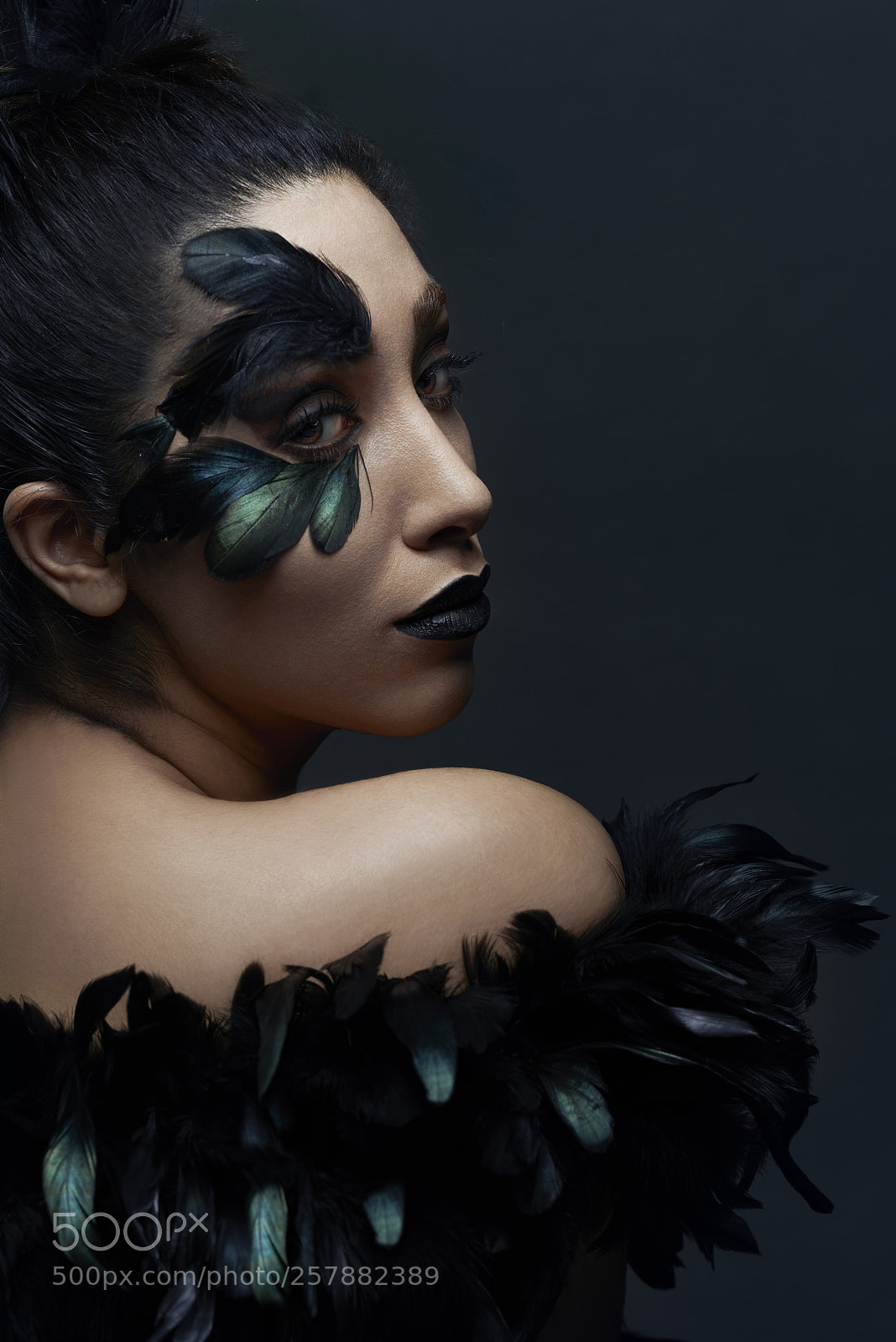 Nikon D810 sample photo. Black swan photography