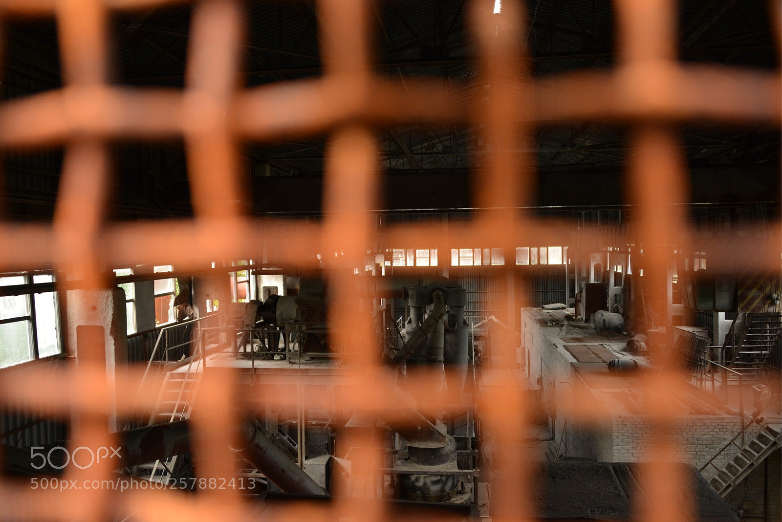 Nikon D600 sample photo. Img photography