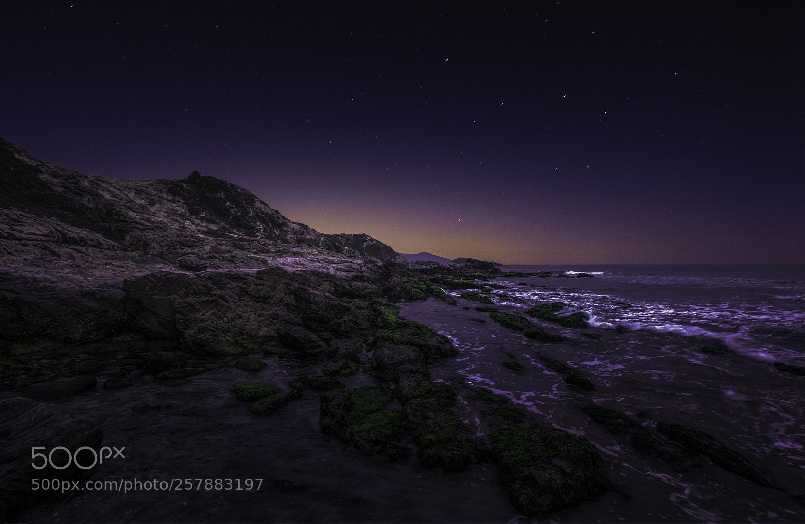 Canon EOS 6D sample photo. 222.jpg photography