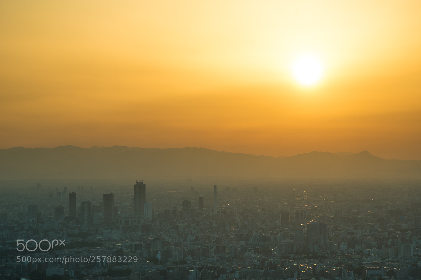 Nikon D750 sample photo. Konnichiwa photography