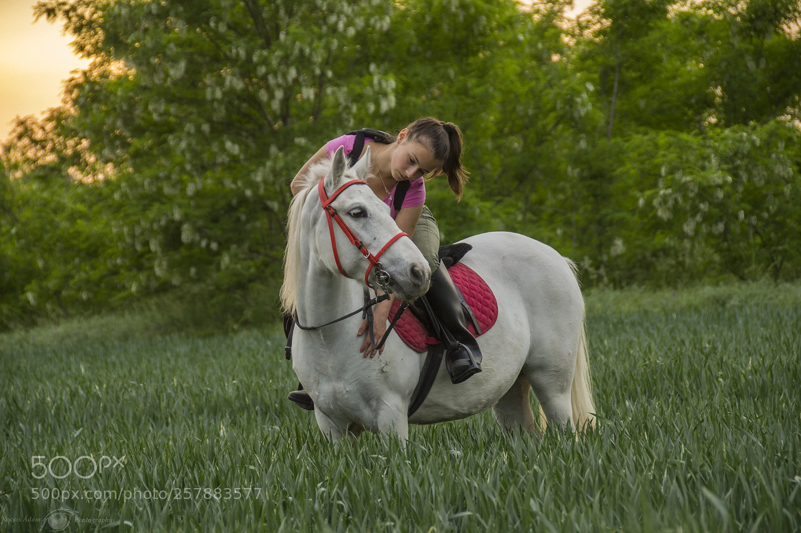 Nikon D3100 sample photo. Barbara photography